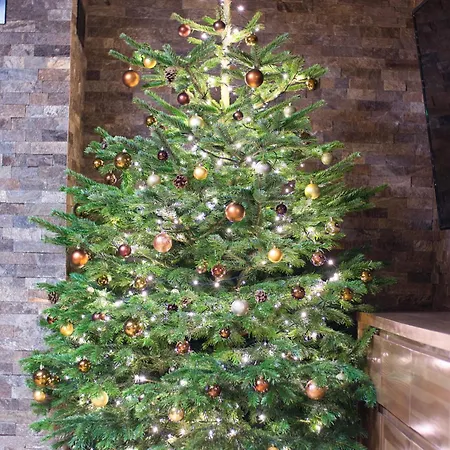 Casa de Férias Panoráma